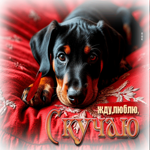 Красивая гиф-открытка Жду, люблю, скучаю