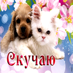 Красивая открытка с кошкой и собакой Скучаю