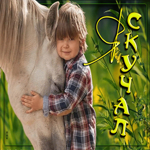 Picture красивая открытка с лошадью я скучал