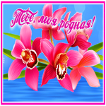 Красивая открытка с орхидеями Тебе, моя родная!