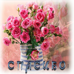 Красивая открытка с розовыми розами Спасибо!