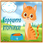 Красивая открытка с рыжим котом Хорошего вторника!