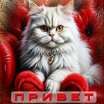 Красивая яркая гиф-открытка Привет