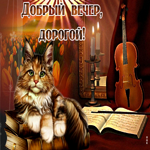 Красочная открытка с котом, добрый вечер, дорогой
