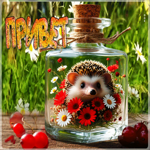 Красочная летняя гиф-открытка Привет