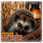 Красочная летняя гиф-открытка Уютной ночи