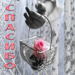 Креативная открытка спасибо с розой