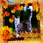 Крутая открытка с котиком в листьях Хорошего денечка