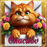 Ласковая гифка Спасибо