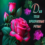 Picture ласковая и стильная гиф-открытка для тебя прекрасные розы