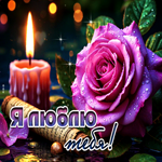 Лучезарная гиф-открытка Я люблю тебя!