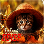 Лучшая осенняя гифка Добрый вечер