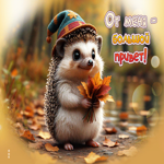 Лучшая золотая осенняя гифка От меня большой привет