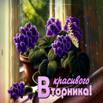 Магическая открытка с цветочками Красивого вторника!