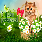 Postcard магнетическая открытка с котиком и ромашками с днем рождения