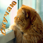 Магнетическая открытка с котом Скучаю