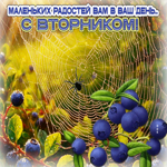 Маленьких радостей вам в ваш день! С вторником