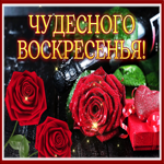 Мечтательная и романтичная гиф-открытка с розами Чудесного воскресенья