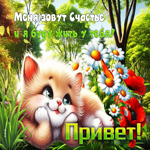 Меня зовут Счастье и я буду жить у тебя! Привет!