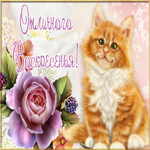 Postcard милая картинка отличного воскресенья! с рыжим котиком