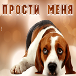 Милая открытка с грустным псом Прости меня