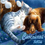 Открытка милая открытка с кошкой и собакой спокойной ночии