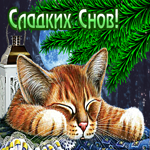 Милая открытка с котиком Сладких снов