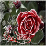 Милая открытка с розой для тебя