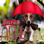 Милая открытка с собакой под зонтом Добрый день