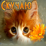Милая открытка Скучаю с рыжим котом