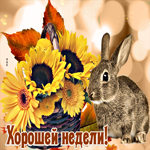 Милая открытка Хорошей недели! С кроликом и цветами
