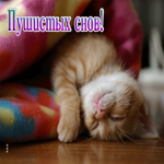 Милейшая открытка с котеночком Пушистых снов