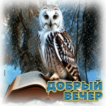 Миленькая гифка Добрый вечер