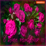Открытка милой женщине с днём рождения