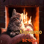 Мирная и доброжелательная открытка с котенком Хорошего вечера