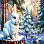 Мягкая зимняя гиф-открытка Хорошего дня