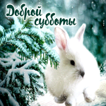 Postcard необычайная открытка доброй субботы! с кроликом