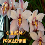 Необычная картинка С днем Рождения с орхидеями
