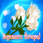 Неповторимая гифка Хорошего вечера