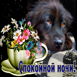Несравненная открытка с собачкой и цветами Спокойной ночи