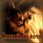 Невероятная и удивительная гиф-открытка с котиком Спокойной ночи