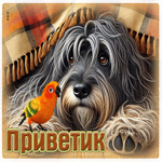 Нежная гиф-открытка Приветик