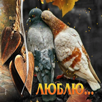 Нежная гиф-открытка с голубями Люблю