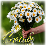 Нежная летняя гиф-открытка Спасибо