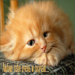 Нежная открытка с котенком Люблю тебя и очень скучаю