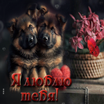Нежная открытка с собачками Я люблю тебя