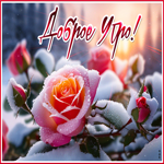 Picture нежная открытка со снежной розой доброе утро