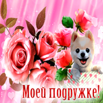 Обворожительная открытка Моей подружке! С щенком и розами