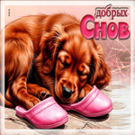 Очаровательная гифка Добрых снов