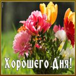 Очаровательная и милая гиф-открытка с цветами Хорошего дня